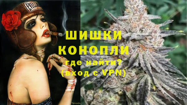 гашик Пересвет