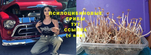 стафф Алзамай