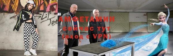 стафф Алзамай