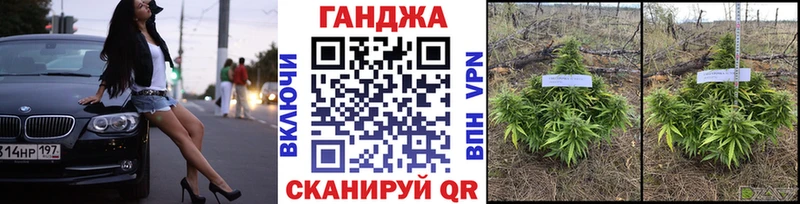 купить наркоту  Качканар  Бошки марихуана OG Kush 